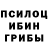 Галлюциногенные грибы Psilocybine cubensis Lalit Manchanda