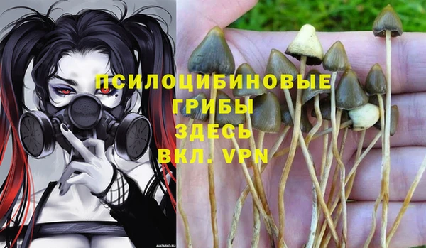 мяу мяу кристалл Нязепетровск