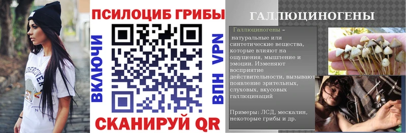 Псилоцибиновые грибы GOLDEN TEACHER  Тавда 